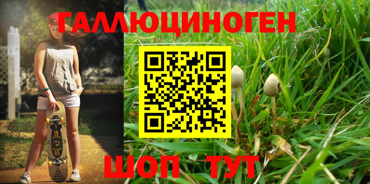 сколько стоит  Псилоцибиновые грибы Psilocybe  Вход с VPN  Алатырь 
